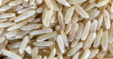 Hallan grano de arroz con más de 3.000 años en provincia china