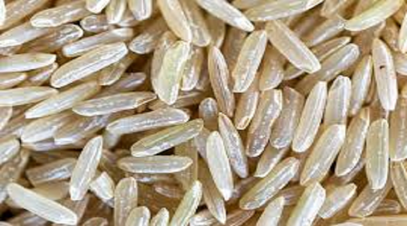 Hallan grano de arroz con más de 3.000 años en provincia china