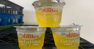 Optimizan elaboración de gelatina de piña