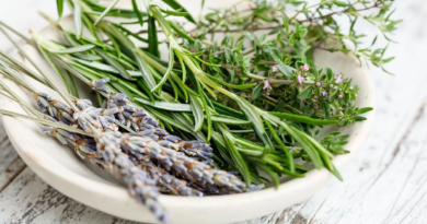 Científicos revelan compuesto herbal que podría tratar el cáncer de pulmón