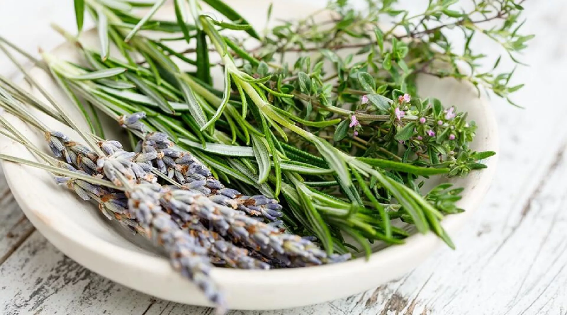 Científicos revelan compuesto herbal que podría tratar el cáncer de pulmón