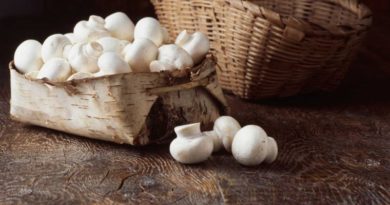 Este es el alimento que ayuda a evitar la inflamación intestinal