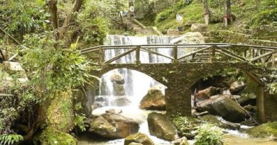 Limpian sedimentos en laguna artificial del zoológico Chorros de Milla en Mérida