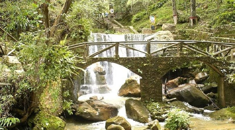 Limpian sedimentos en laguna artificial del zoológico Chorros de Milla en Mérida