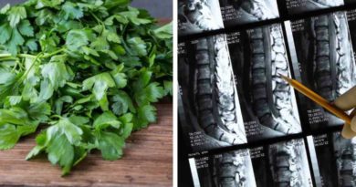 Perejil: sus beneficios para fortalecer huesos y mejorar la salud cardiovascular