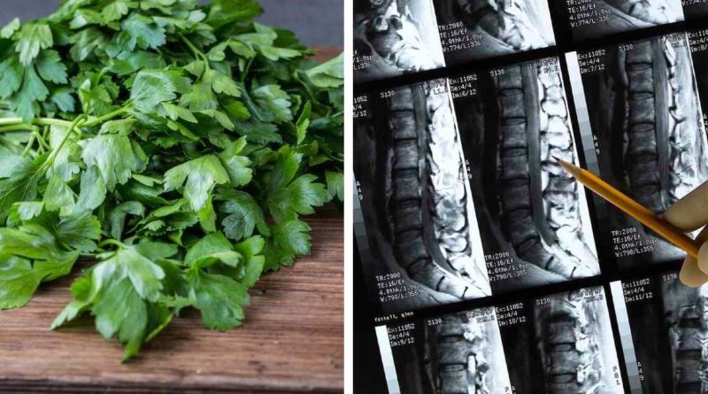 Perejil: sus beneficios para fortalecer huesos y mejorar la salud cardiovascular