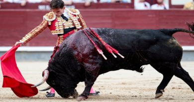 MP prohibe evento de corrida de toros en Lara