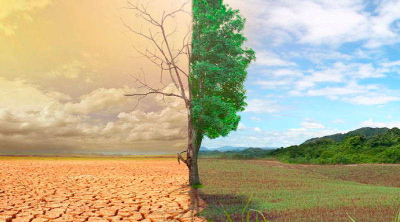 Venezuela conmemora Día Mundial de la Lucha contra la Desertificación y la Sequía