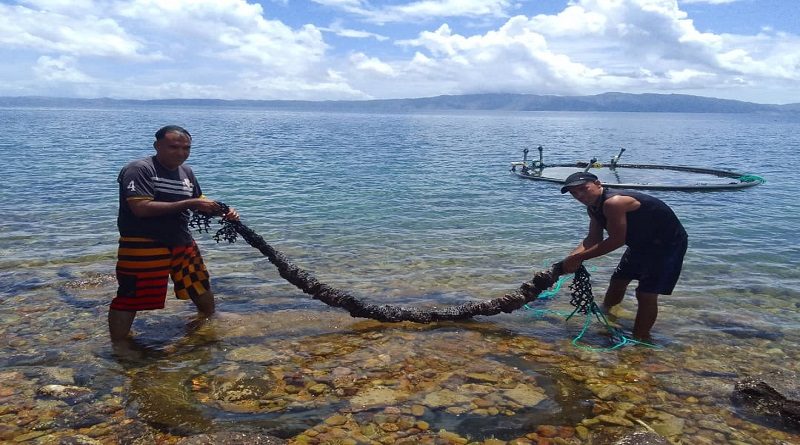 Sector acuícola sembrará 600 kg de semillas de mejillón marrón en mar abierto