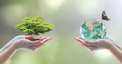 Venezuela ratifica su compromiso con la Pachamama en el Día Mundial del Medio Ambiente
