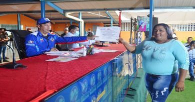 Aprueban recursos para la siembra de maíz amarillo en Guárico