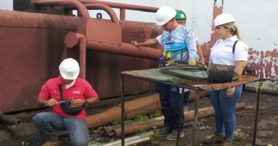 Planta Madre Wuanaguanare