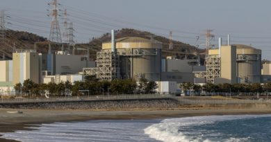 Corea del Sur aumenta la generación de energía nuclear