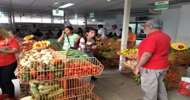 Feria del Campo Soberano beneficia a 3.080 familias en Barinas