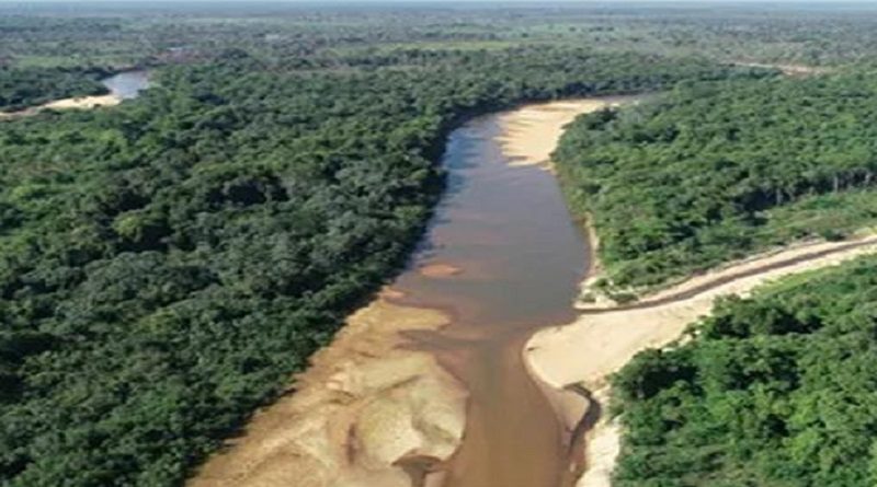 Estado brasileño es condenado por ecocidio en bioma Cerrado