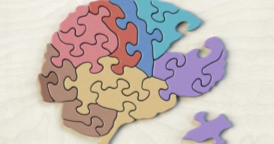 Conoce los principales nutrientes que fortalecen la salud del cerebro