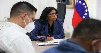 Consejo de Vicepresidentes Sectoriales