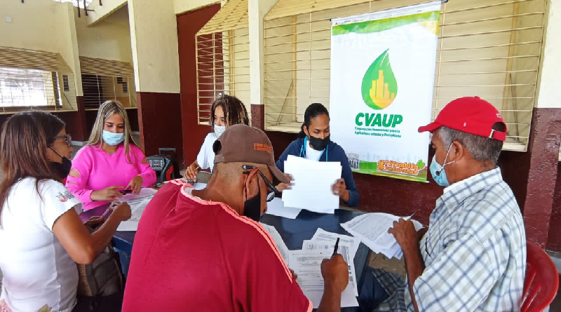 Plan Maíz 2022 beneficia a 23 productores del Distrito Capital