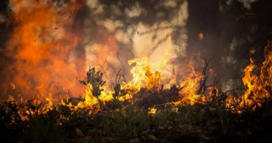 Incendio abarca más de mil hectáreas en España