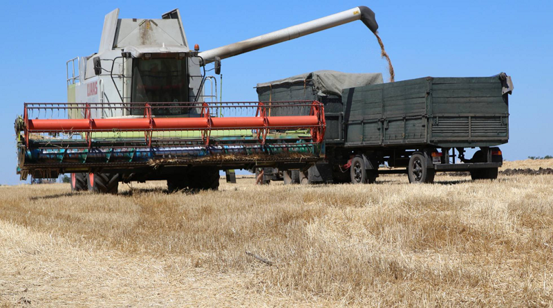 Firman acuerdo para reanudar exportaciones de cereales en Estambul