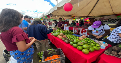 Más de 3.300 personas beneficiadas con alimentos de la Feria del Campo Soberano en Caracas