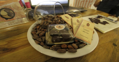 Impulsan a nuevos emprendedores del cacao en Miranda
