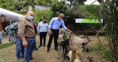 Entregan 25 animales para cría a productores del municipio Carrizal
