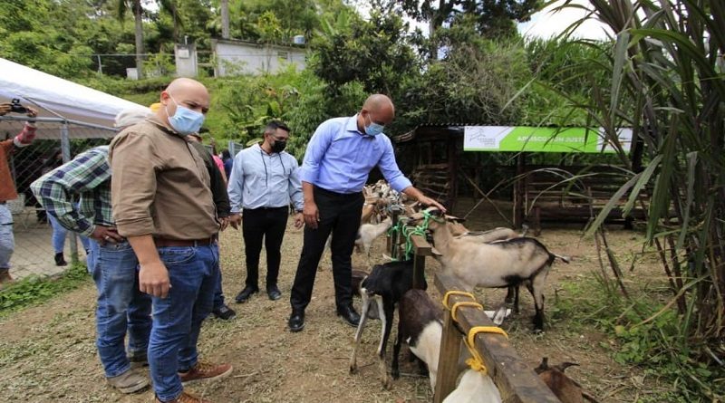 Entregan 25 animales para cría a productores del municipio Carrizal