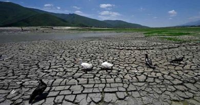 México es afectado por sequía excepcional