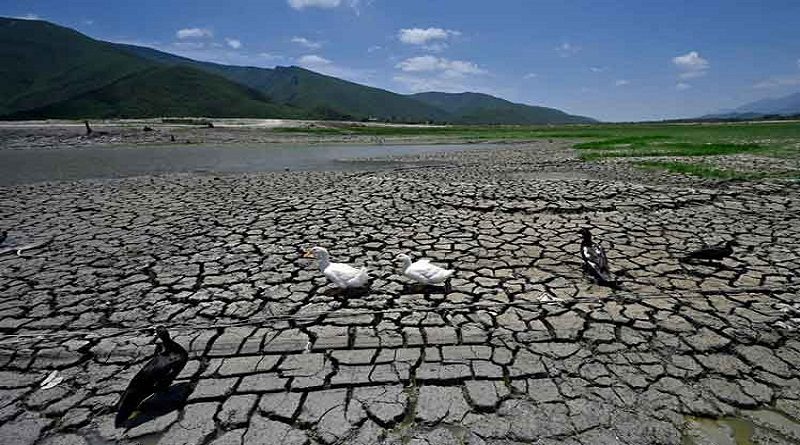 México es afectado por sequía excepcional