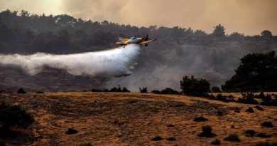 Incendio en Grecia arrasa con más de 3 mil 400 hectáreas del Parque Nacional de Dadiá