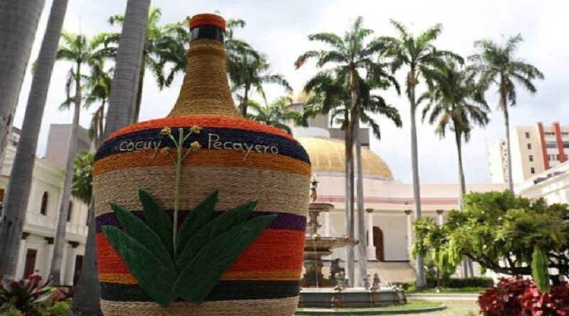 Designan Comisión Especial para la Protección del Agave Cocui-Cocuy