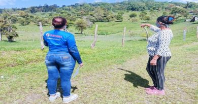 Realizan registro de productores de Palma en Mérida