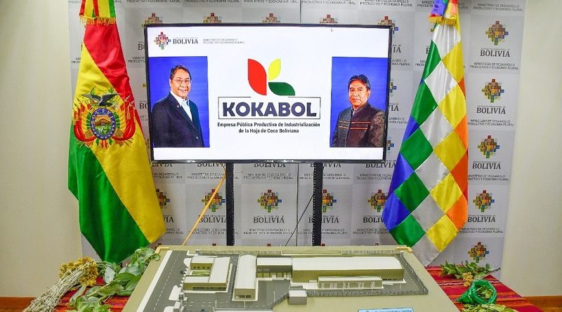 Bolivia apuesta a la producción de pasta dental a base de hoja de coca