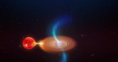 Descubierta la estrella con el período orbital más corto alrededor de un agujero negro.