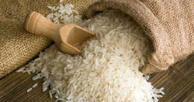 Cultivan y cosechan 35 mil hectáreas de arroz en Guárico