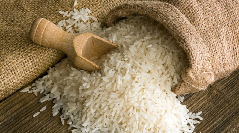 Cultivan y cosechan 35 mil hectáreas de arroz en Guárico