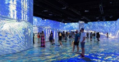 Muestra sobre Van Gogh continuará en 2023