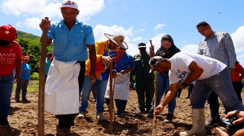 Inicia Plan de Siembra y Producción 2022-2023 en Tácata