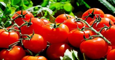 Consumir tomate ayuda a prevenir el cáncer de próstata