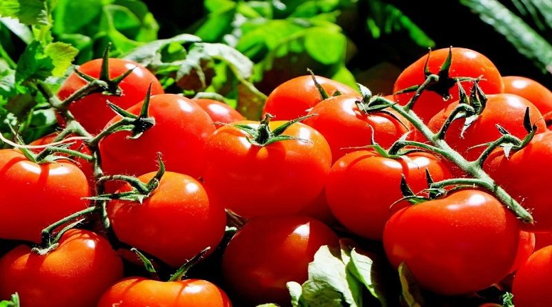 Consumir tomate ayuda a prevenir el cáncer de próstata