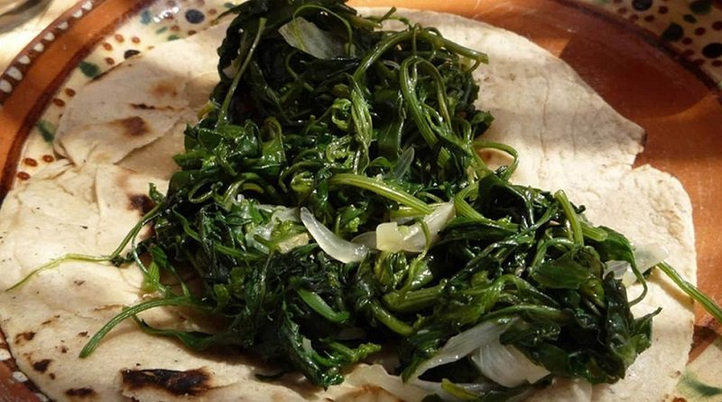 Conoce cuál alimento regula los triglicéridos