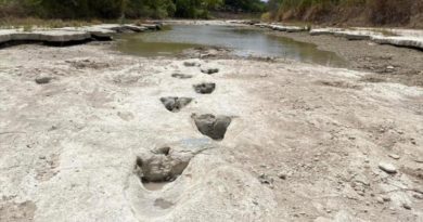 Descubren huellas de dinosaurio tras grave sequía en EE.UU.