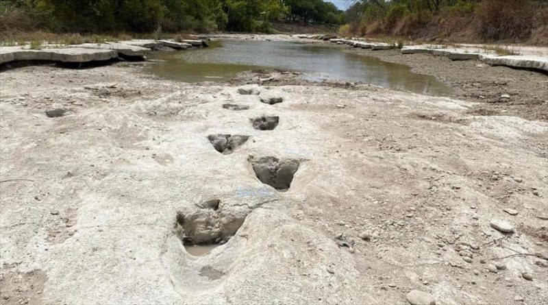Descubren huellas de dinosaurio tras grave sequía en EE.UU.