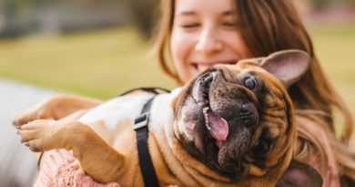 Científicos descubren por qué los perros lloran ante una situación emocional