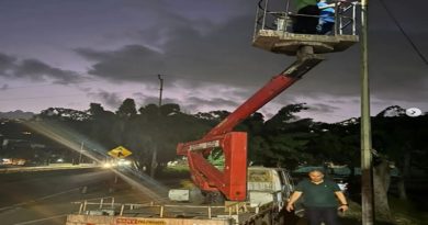 Inspeccionan culminación de reemplazo de 46 luminarias en distribuidor La Gaviota de Caracas
