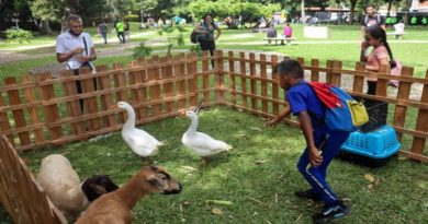 Infantes gozan en Plan Vacacional “El Reto de Aquiles” en la Casona Cultural