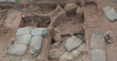 Paleontólogo encuentra en el patio de su casa fósiles de un mamut y su cría