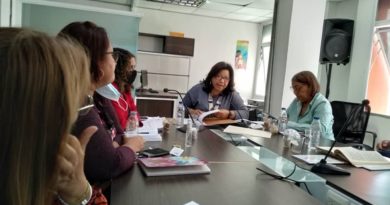 Comisión de Familias sanciona ley para proteger maternidad y paternidad