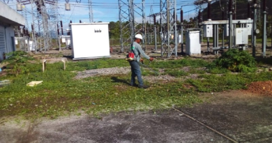 Desmalezan más de 400 hectáreas de corredores eléctricos en Amazonas